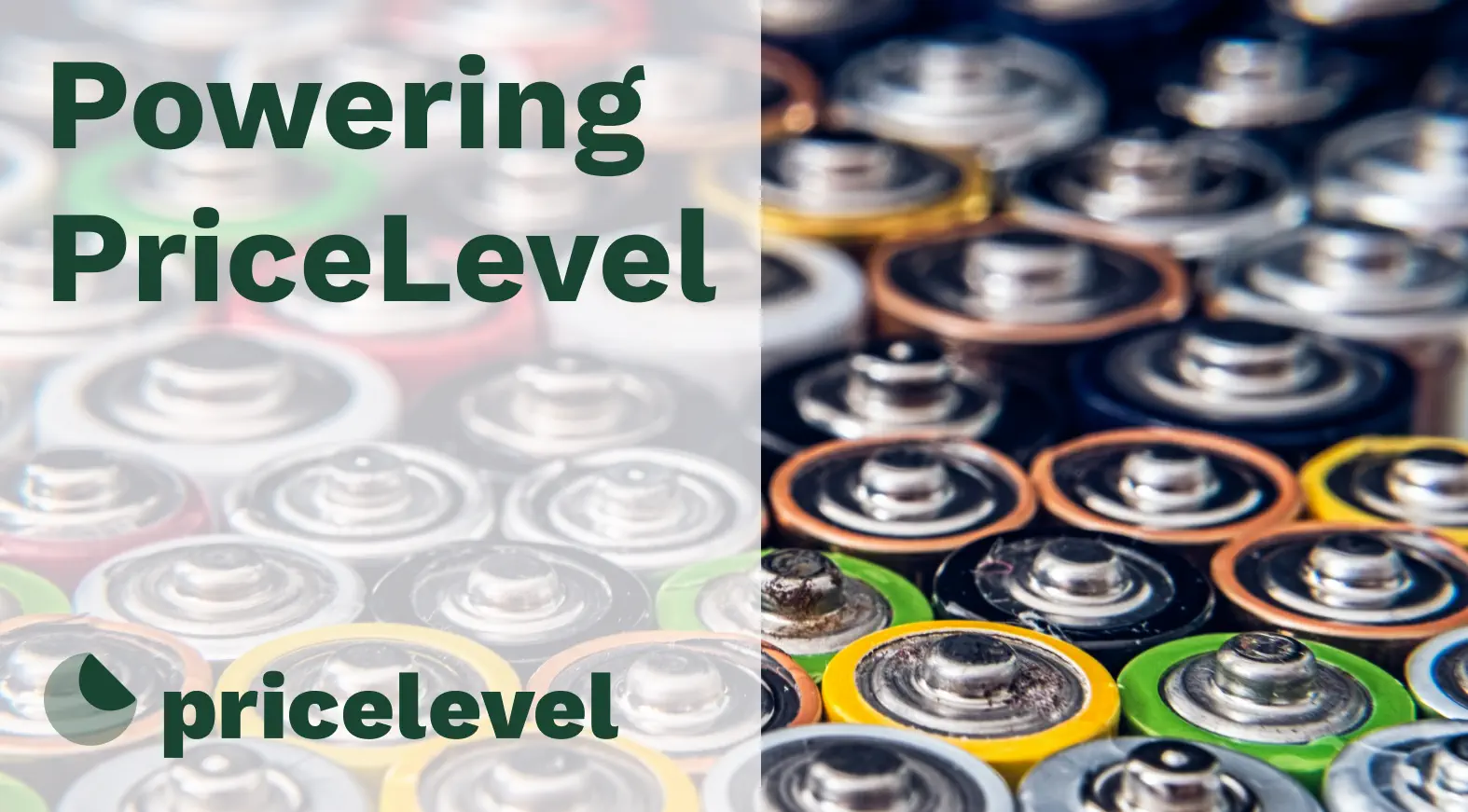 Hero image of Powering PriceLevel: How much it costs to build SaaS