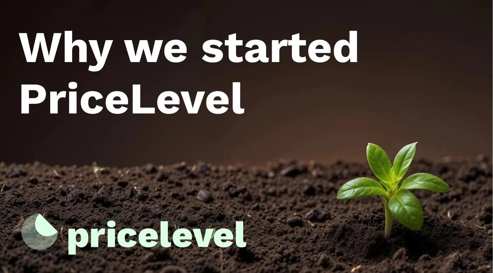 Hero image of Why we started PriceLevel