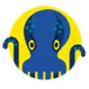 JetOctopus's logo